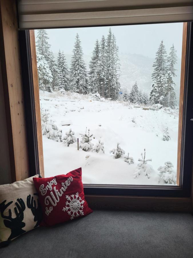 Hillview Jasna Chalet Demanovska Dolina Exteriör bild